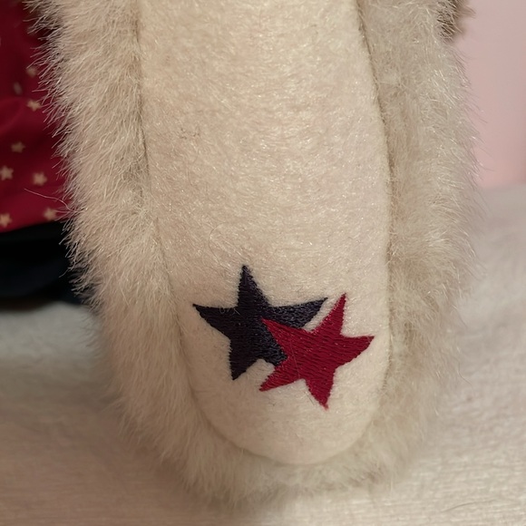 Boyd’s Bears T.J.s Best Dressed Collection Starr B. Bearyproud W/Sparkle - Picture 4 of 12